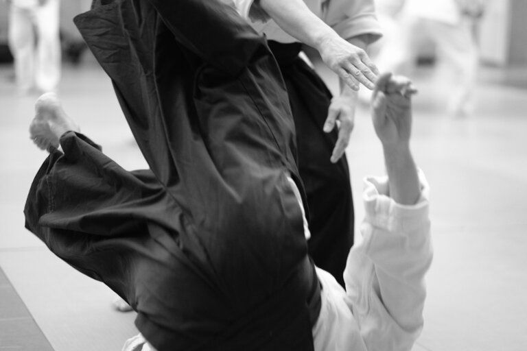 231d8500a6925f53f085ed2b6f490541